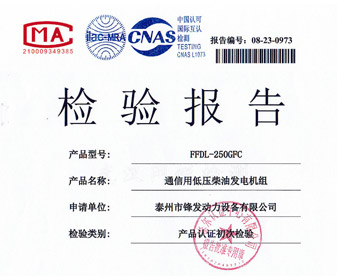 檢測報告